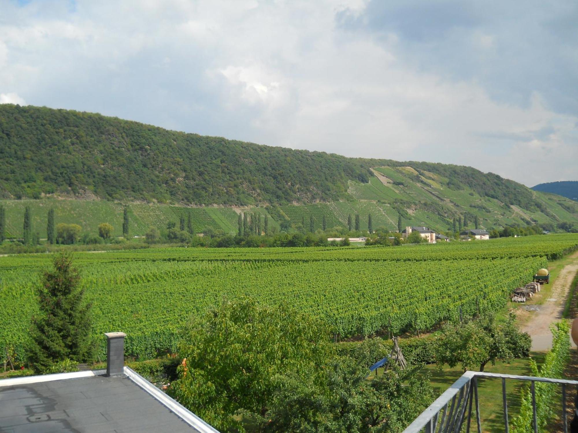 Ferienweingut Winnebeck Kowerich Room photo