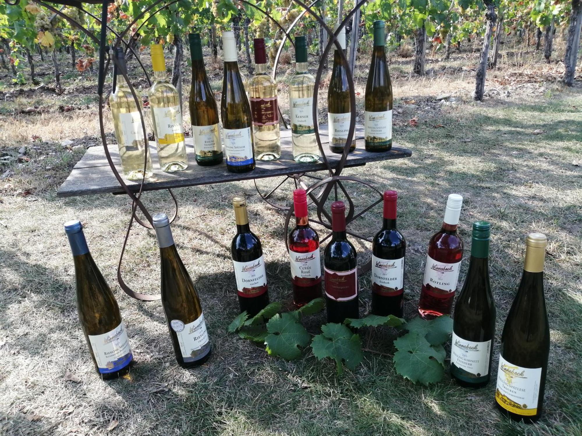 Ferienweingut Winnebeck Kowerich Exterior photo