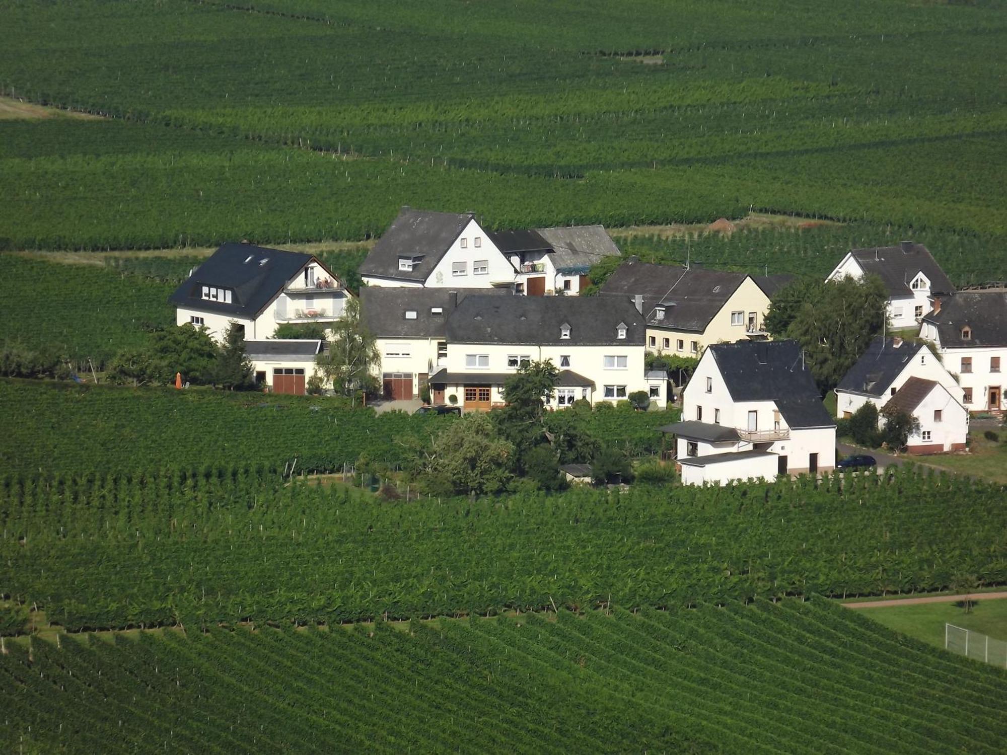 Ferienweingut Winnebeck Kowerich Room photo