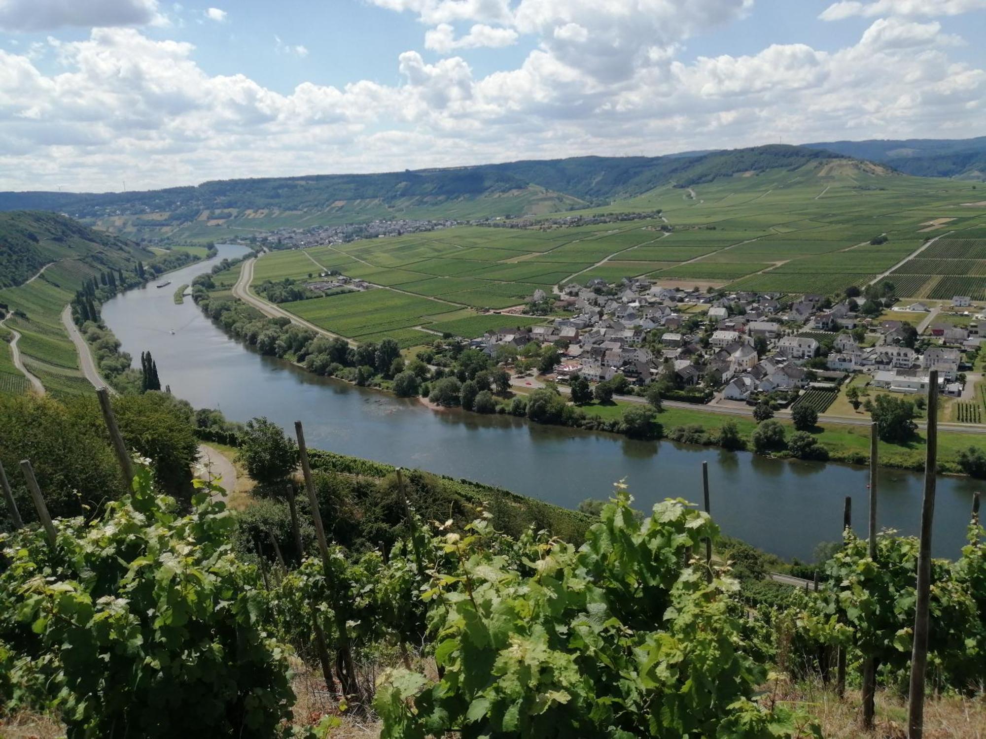 Ferienweingut Winnebeck Kowerich Exterior photo