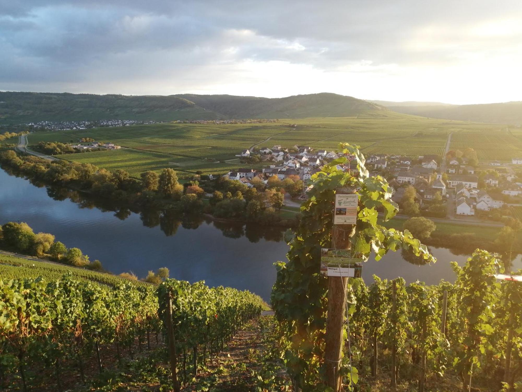 Ferienweingut Winnebeck Kowerich Exterior photo