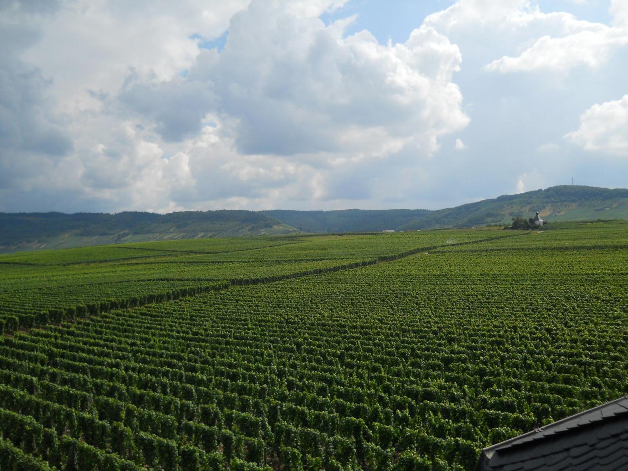 Ferienweingut Winnebeck Kowerich Exterior photo